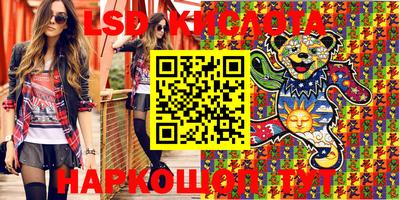 индика Усть-Джегута
