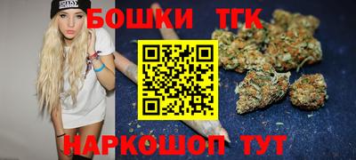 индика Усть-Джегута