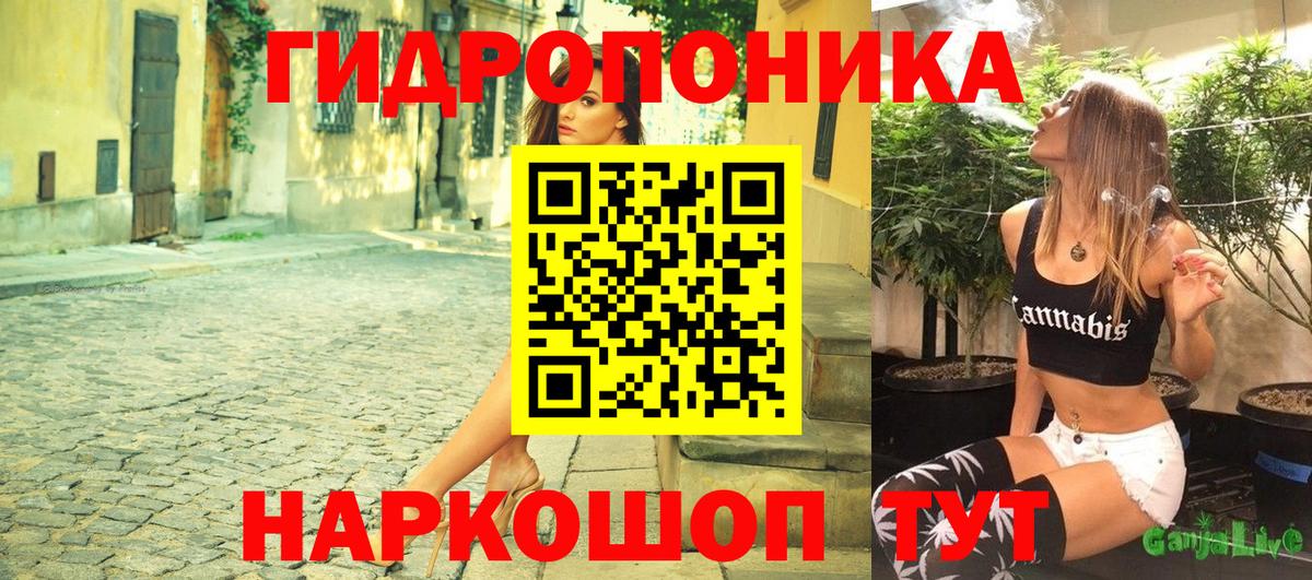 Бошки Шишки план Мытищи